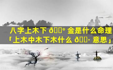 八字上木下 💮 金是什么命理「上木中木下木什么 🌷 意思」